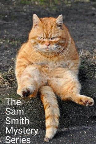 91TyAd3h5AL._SX750_SY470__kindlephoto-88131826