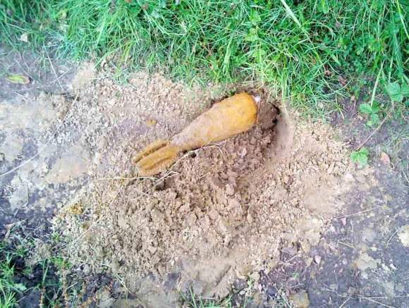 10629466_876492235696650_4843709004942464054_o