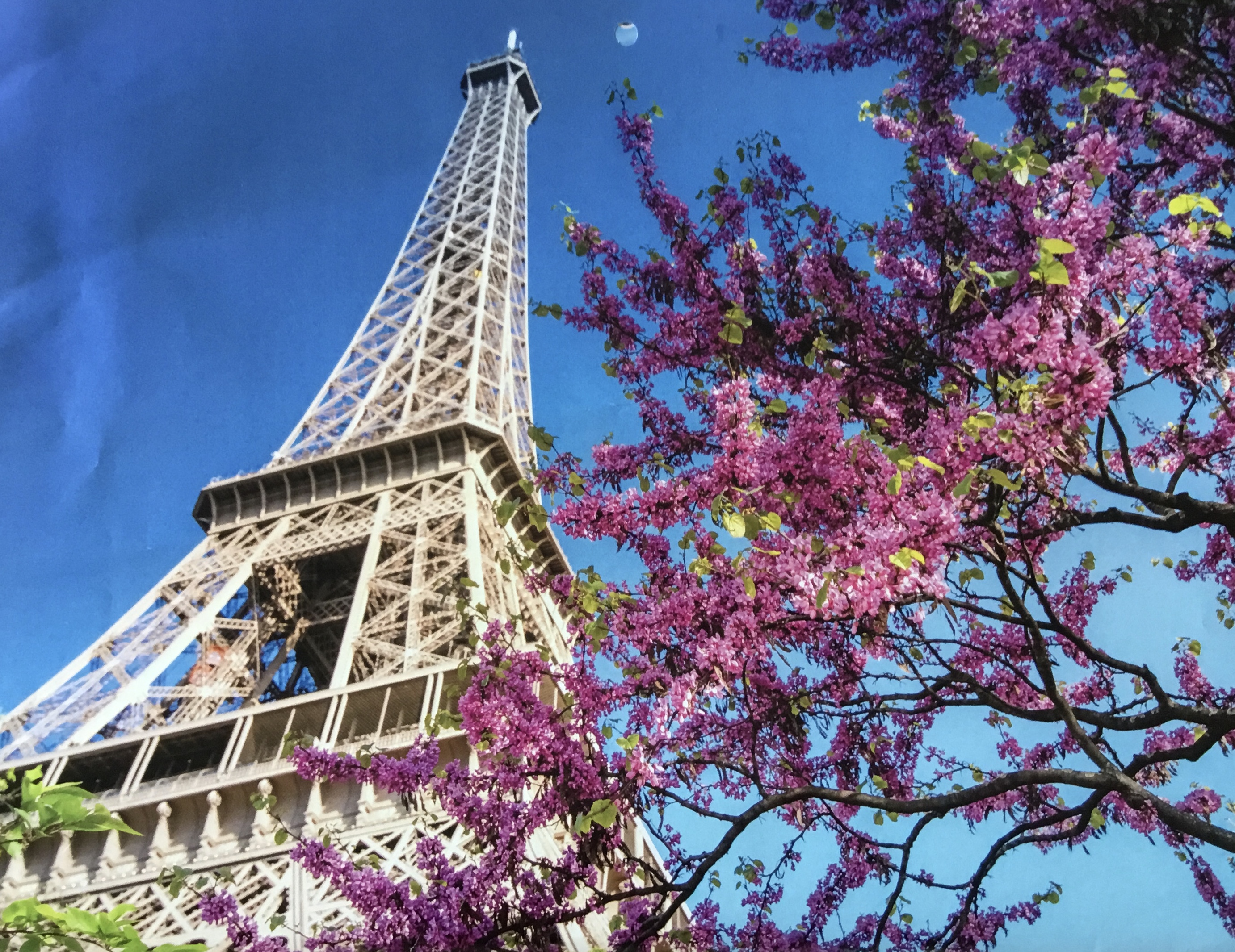 829E4871-CE55-4DA3-9C1E-000B752E0DD6